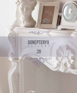 Conepteryx Collant .20