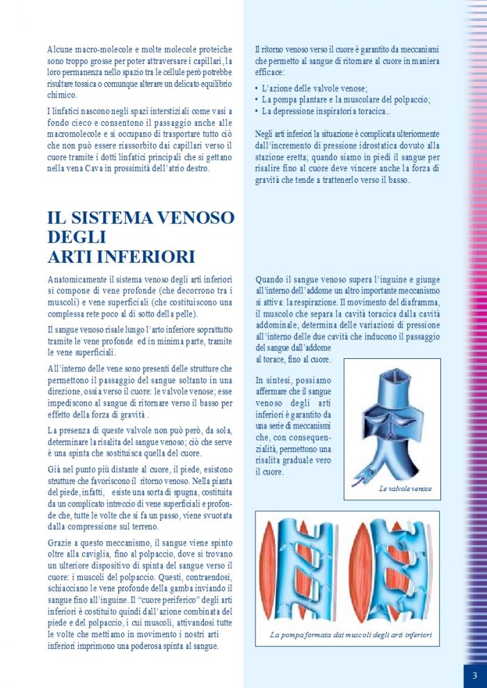 Cizeta Medicali Cizeta-medicali-linea-flebologica-3  Linea Flebologica | Pantyhose Library