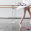 Silky - Dance-and-ballet-brockure