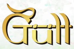 Gull  Logo