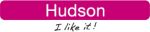 Hudson  Logo