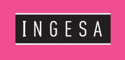 Ingesa Chile  Logo