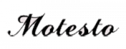Motesto  Logo