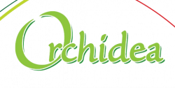 Orchidea  Logo