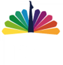 Shirou  Logo