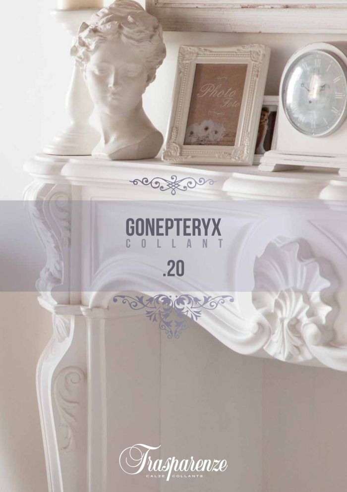 Trasparenze Conepteryx Collant .20  SS 2015 | Pantyhose Library