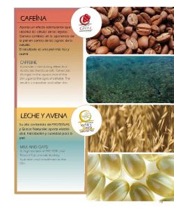 Cocoon - Catalogo 2016