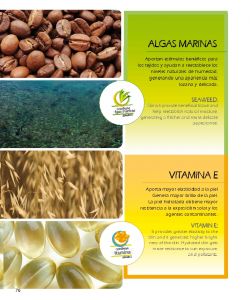 Cocoon - Catalogo 2016