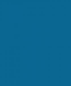 Dorian Gray - Socks FW.2016