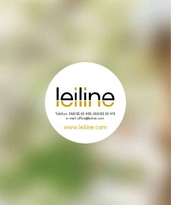Leiline - Catalog 2017
