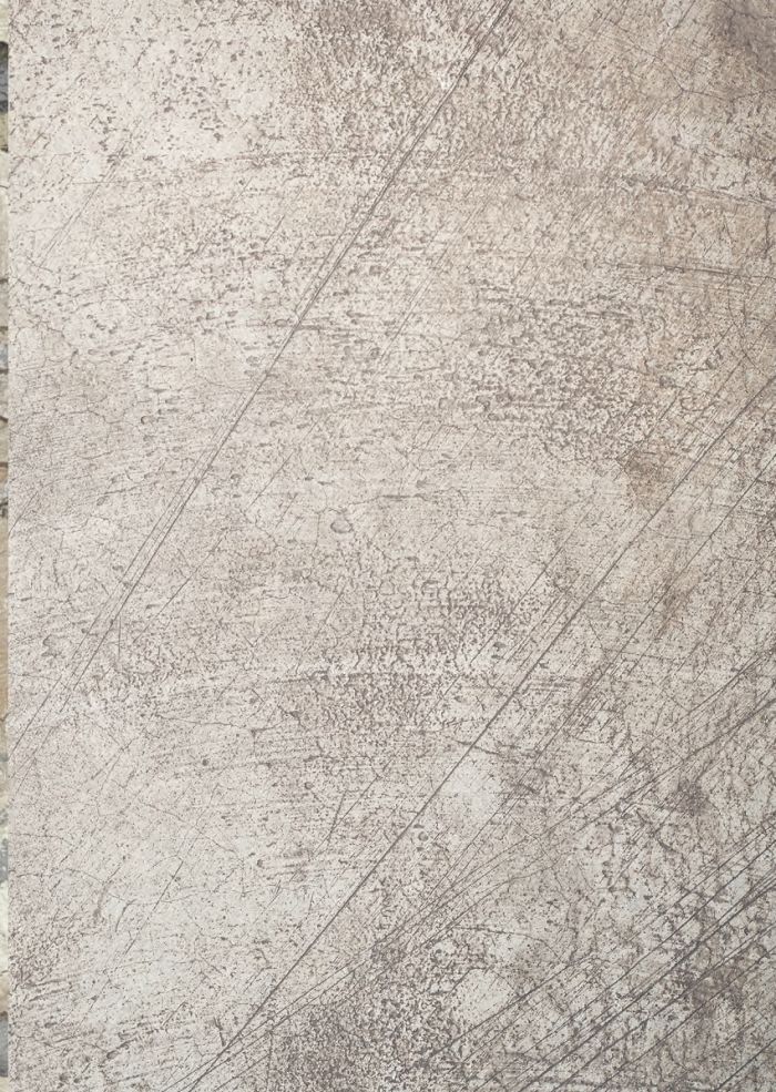 Miss Germany Collection Miss-germany-collection-fw-2018.19-27  FW 2018.19 | Pantyhose Library