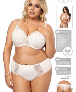 Gorsenia-Katalog Gw 2020.2021-31