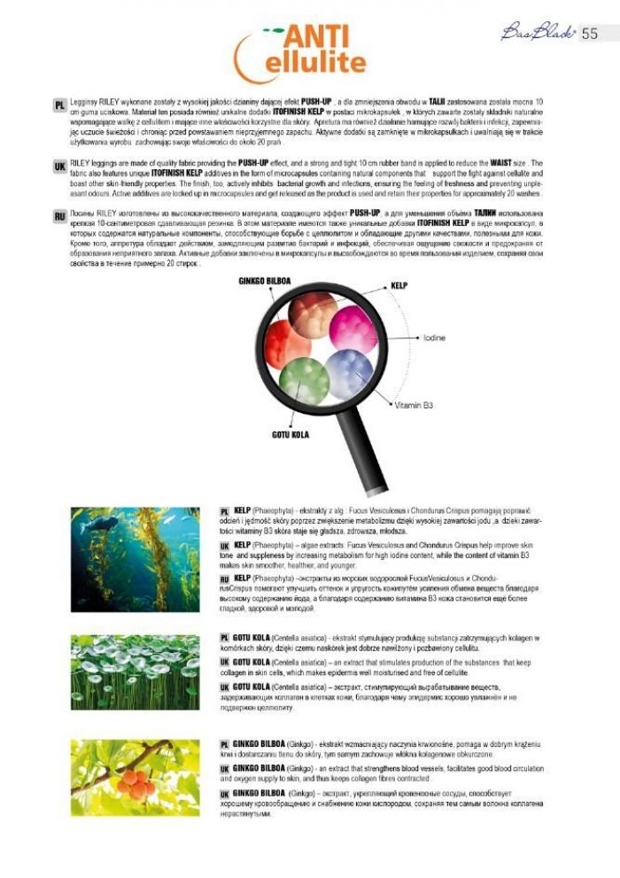 Bas Bleu Bas Bleu-aw 2020 2021 Sport-55  Aw 2020 2021 Sport | Pantyhose Library