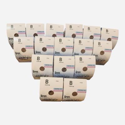 Sz B Suntan L’eggs Sheer Energy Control Top Smoothing Light Support Hose X16