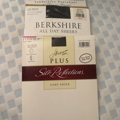 Hanes Plus Silky Reflection ,Silken Sheers, Berkshire All Day Sheer  Lot 3 C Pic