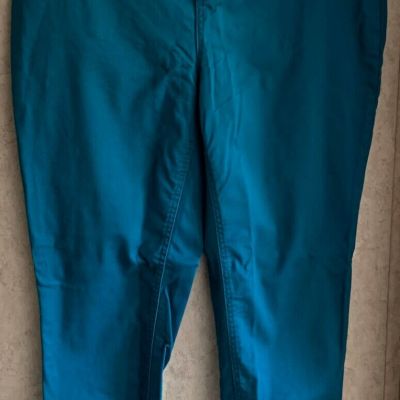 Terra & Sky Women's Jeggings Pull On New Skinny Plus Size 0X 14W Legging Stretch