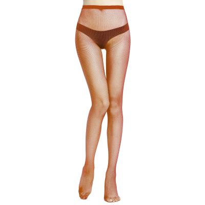 Women Tights Transparent See-through Hollow Out High Waist Women Tights Elastic