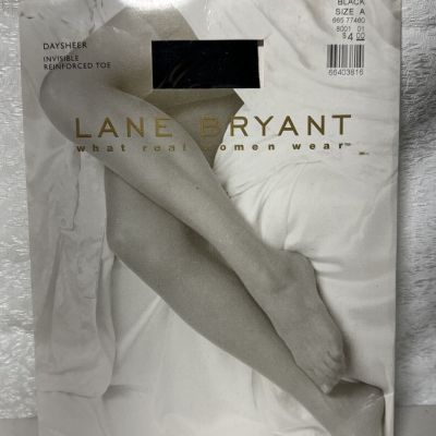 Vintage Lane Bryant Daysheer Invisible Reinforced Toe Black Size A Hose