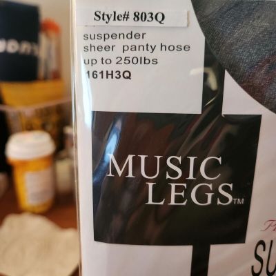 Brand New Plus Size Sheer Suspender Pantyhose Music Legs 803Q 161H3Q