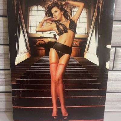 BACI LINGERIE NO. 203 Fishnet Thigh Highh Red