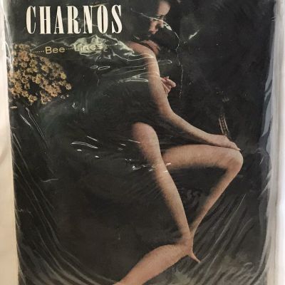 Vintage CHARNOS Bee Lines Hold-Me-Tights Pantyhose Seamless Rapture Petite M-38