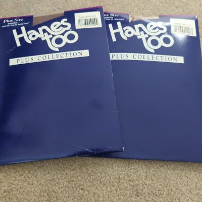 Hanes Too Day Sheers Control Top Reinforced Toe Style E07 2Q Lot 2 (2 Colors)