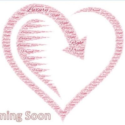 Wolford Adelia Net Tights Color: Black Size: Small 19144 - 10