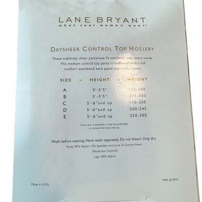 Lane Bryant Daysheer Control Top Beige Size D VTG Nylon