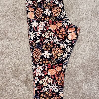 Terra and Sky Women's Painted Floral Printed Legging Size 2X (20W-22W)
